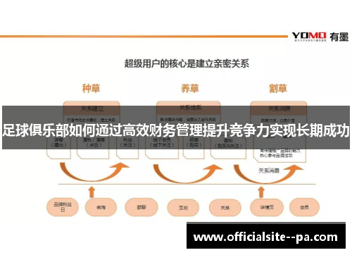 足球俱乐部如何通过高效财务管理提升竞争力实现长期成功