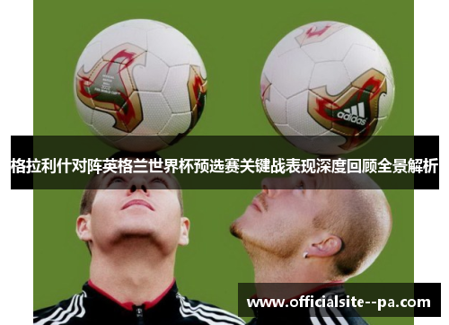 格拉利什对阵英格兰世界杯预选赛关键战表现深度回顾全景解析
