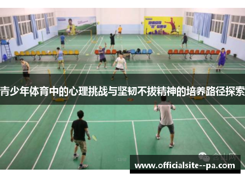 青少年体育中的心理挑战与坚韧不拔精神的培养路径探索