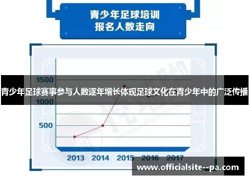 青少年足球赛事参与人数逐年增长体现足球文化在青少年中的广泛传播