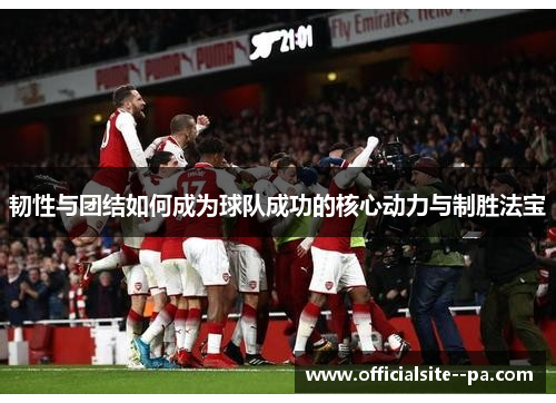 韧性与团结如何成为球队成功的核心动力与制胜法宝